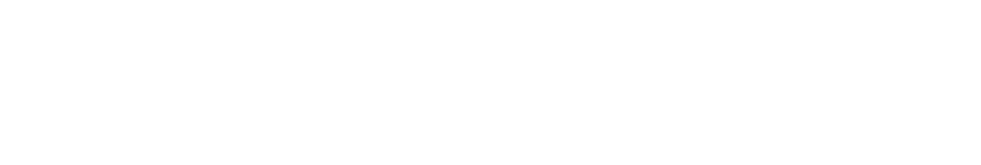 logo skyneil white